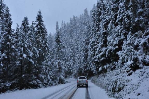 Dirigindo por uma floresta congelada no North Cascades National Park, no estado de Washington, noroeste dos  Estados Unidos
